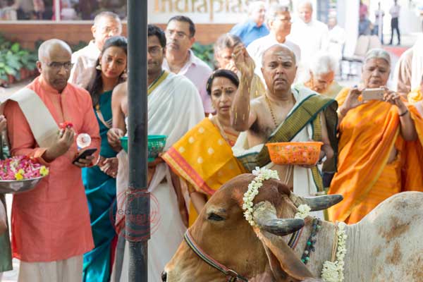 gifting of a cow to a Brahmin gau daan 